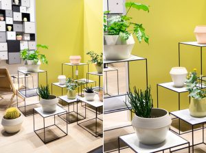 Urban Jungle Bloggers - Plant Trends from Maison & Objet 2016 in Paris