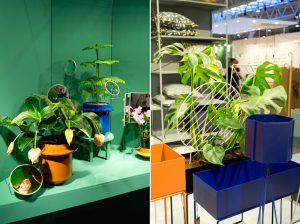 Urban Jungle Bloggers - Plant Trends from Maison & Objet 2016 in Paris