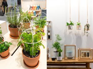 Urban Jungle Bloggers - Plant Trends from Maison & Objet 2016 in Paris