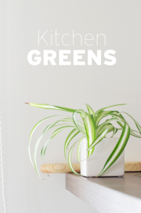 urbanjunglebloggers, kitchen greens