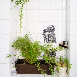 Urban Jungle Bloggers Planty Profile