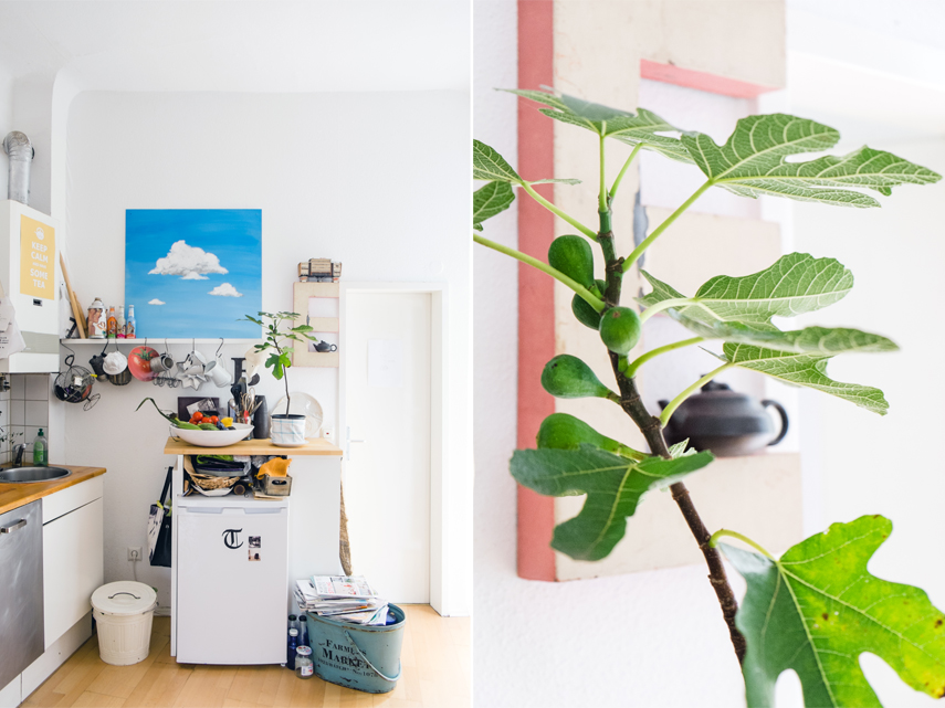 Urban Jungle Bloggers - Plant Profile: Katrin from Daily Perfect Moment