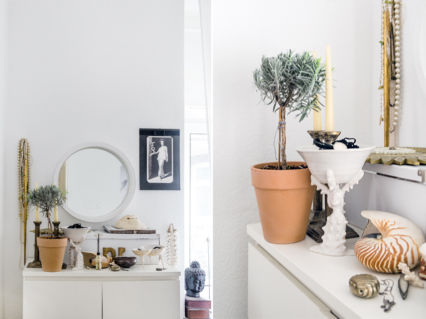 Urban Jungle Bloggers - Plant Profile: Katrin from Daily Perfect Moment