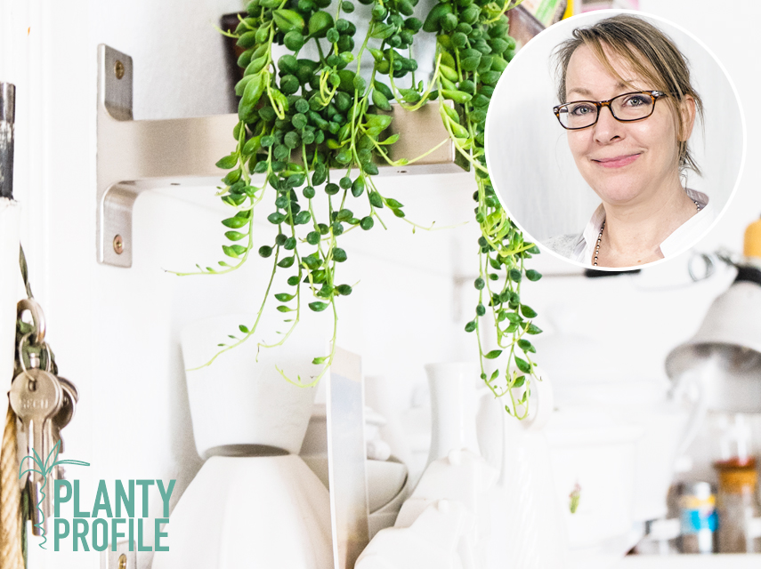 Urban Jungle Bloggers - Plant Profile: Katrin from Daily Perfect Moment