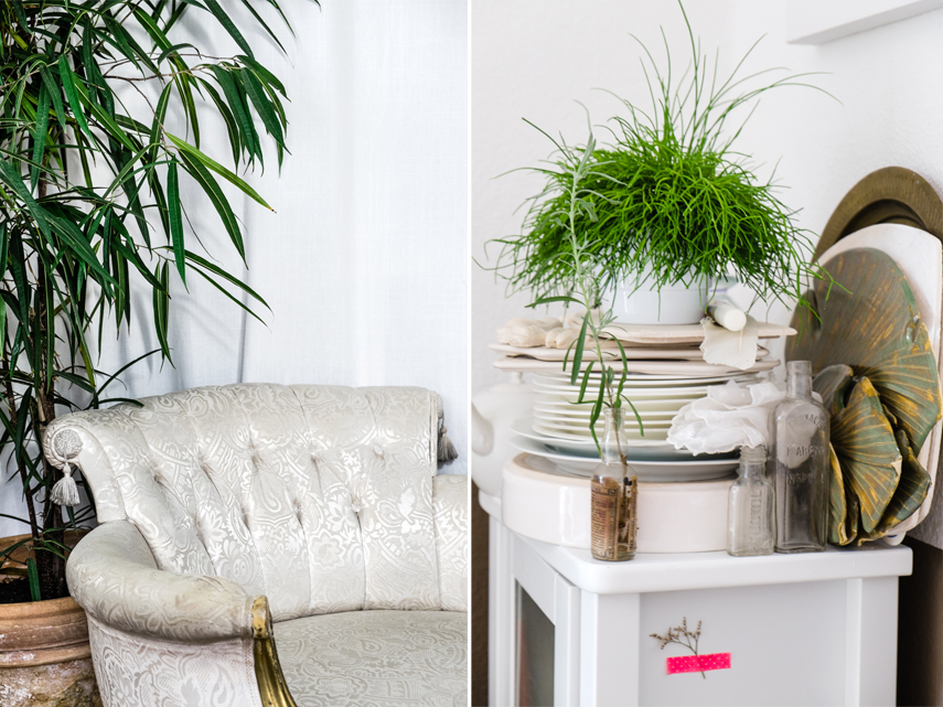 Urban Jungle Bloggers - Plant Profile: Katrin from Daily Perfect Moment