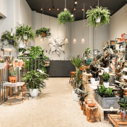 Urban Jungle Bloggers: De Balkonie Amsterdam