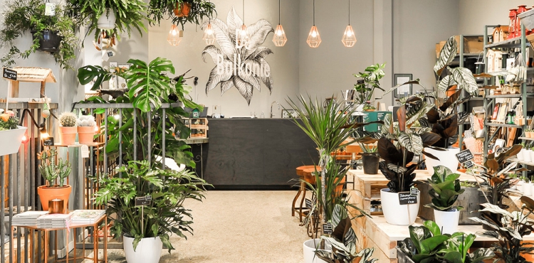 Urban Jungle Bloggers: De Balkonie Amsterdam