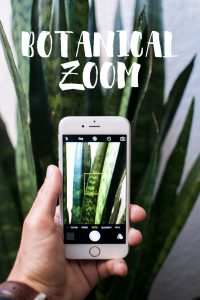 urbanjunglebloggers, botanical zoom