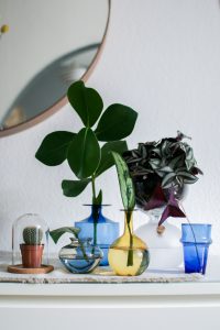 urbanjunglebloggers, plants and glass