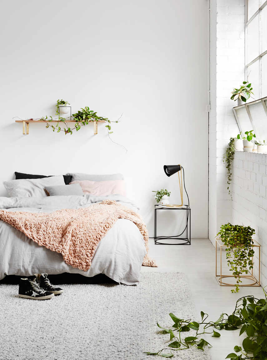 Ivy Muse Homebody collection via Urban Jungle Bloggers