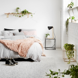 Ivy Muse Homebody collection via Urban Jungle Bloggers