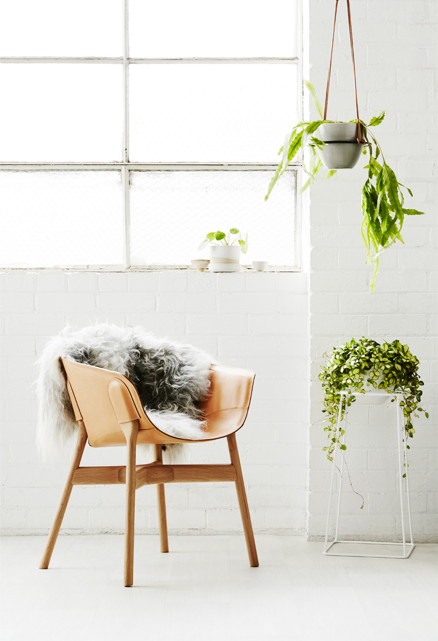 Ivy Muse Homebody collection via Urban Jungle Bloggers