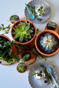 urbanjunglebloggers, planty table setting