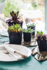 urbanjunglebloggers, planty table setting