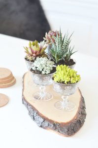 urbanjunglebloggers, planty table setting