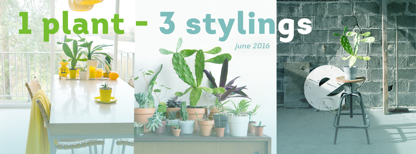 Urban Jungle Bloggers in June 2016: 1 Plant 3 Stylings