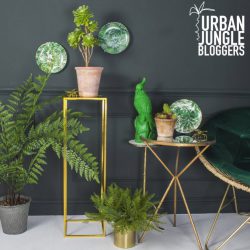 Urban Jungle Bloggers in June 2016: 1 Plant 3 Stylings