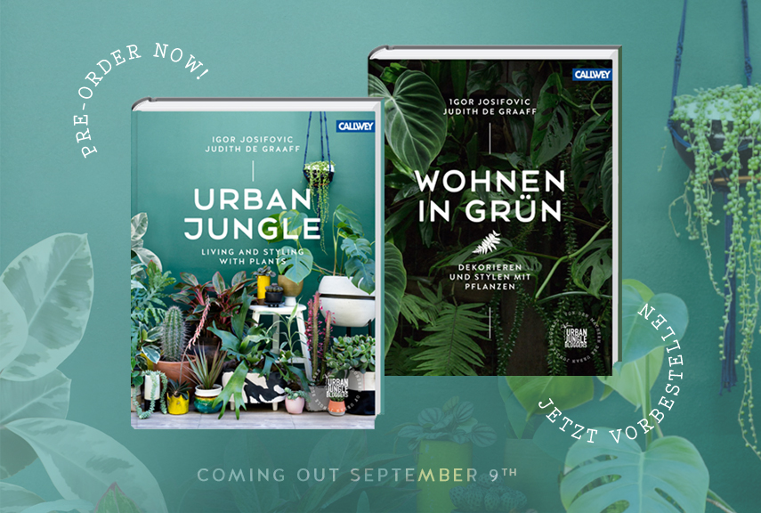 Urban Jungle living and styling with plants - Wohnen in Grün, Dekorieren und Stylen mit Pflanzen