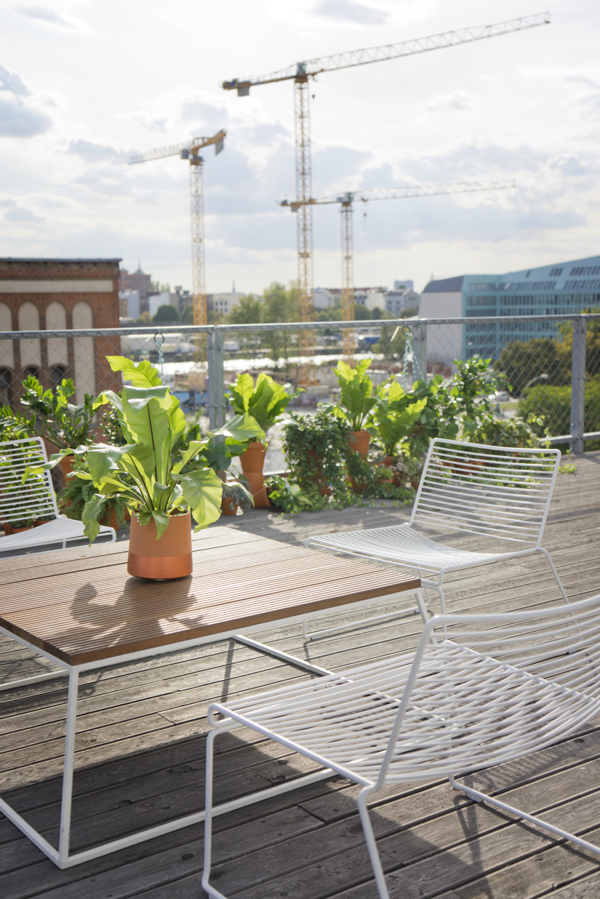 Urban Jungle Bloggers Rooftop dinner Berlin plant styling