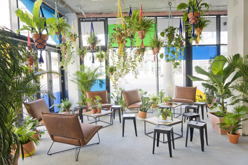 Urban Jungle Bloggers Zalando Summer House Berlin plant styling