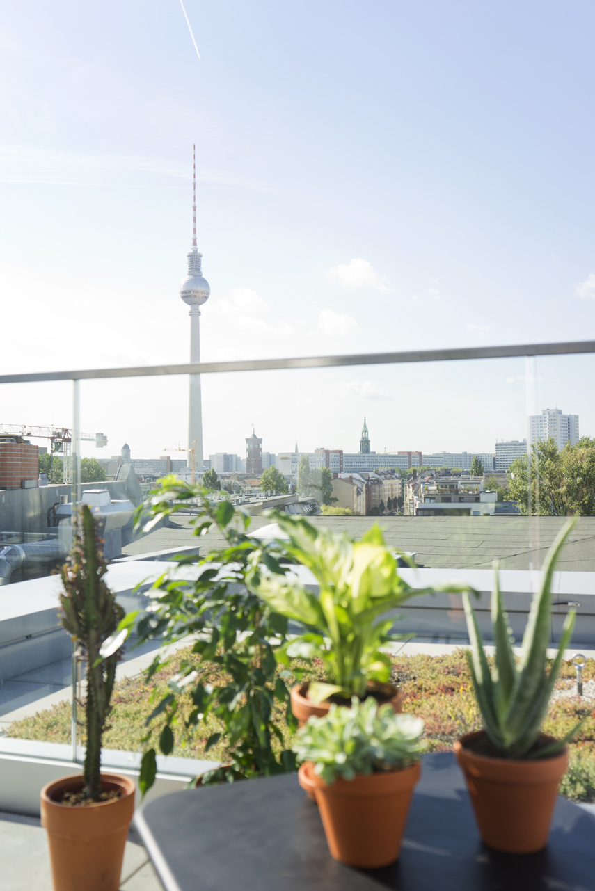 Urban Jungle Bloggers Zalando Summer House Berlin plant styling