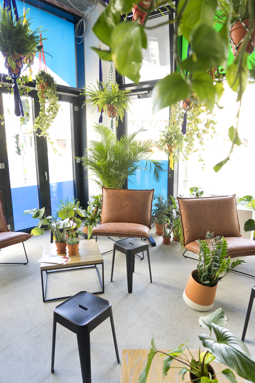 Urban Jungle Bloggers Zalando Summer House Berlin plant styling