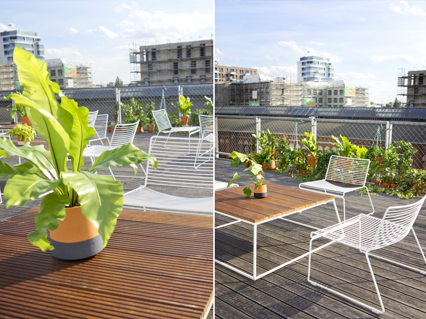 Urban Jungle Bloggers Rooftop dinner Berlin plant styling