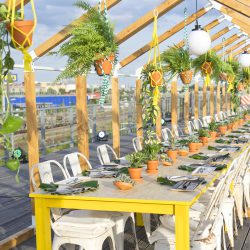 Urban Jungle Bloggers Rooftop dinner Berlin plant styling