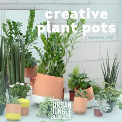 Urban Jungle Bloggers in November 2016: Creative Plant Pots