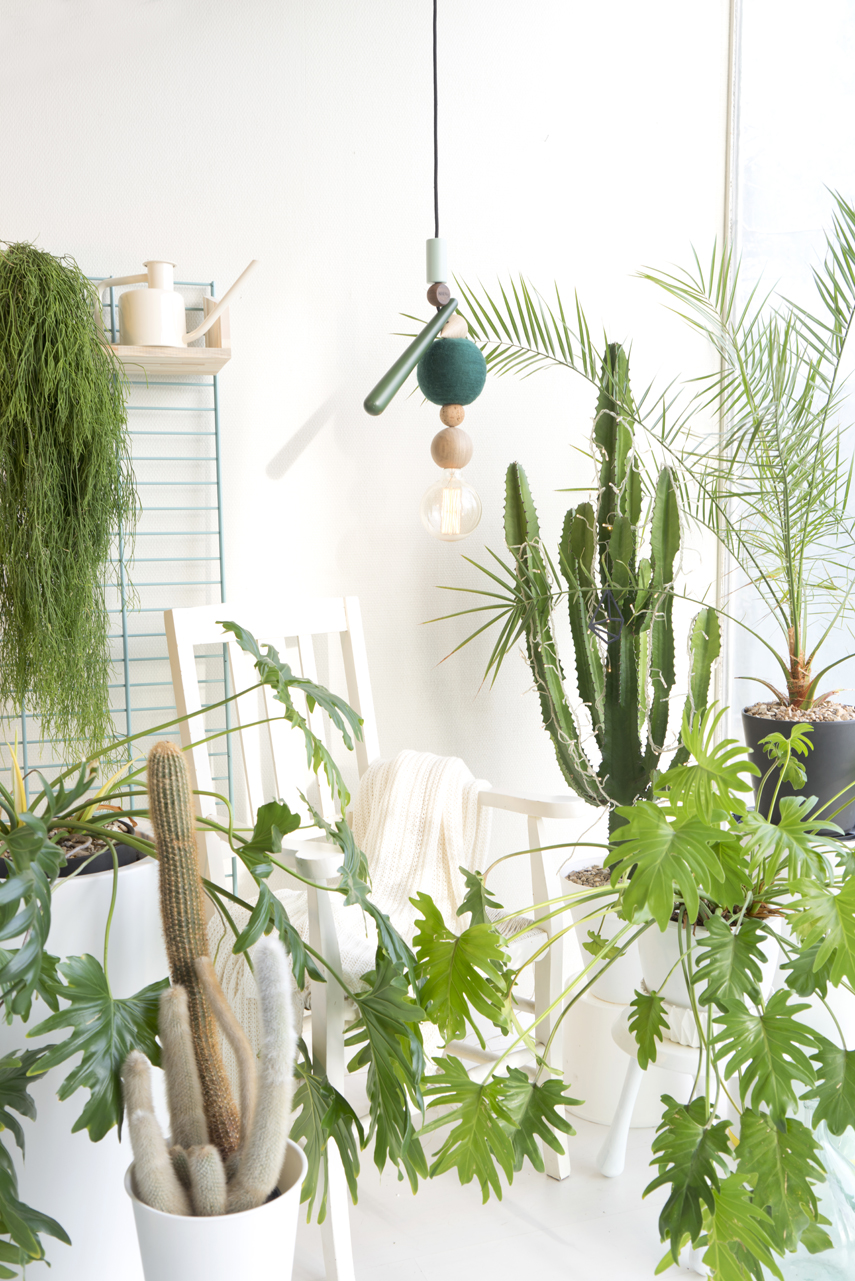 Urban Jungle Bloggers x HAENG pendant light