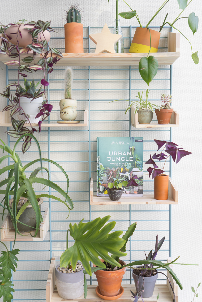 Urban Jungle Bloggers - Fency Tolhuijs plantshelfie