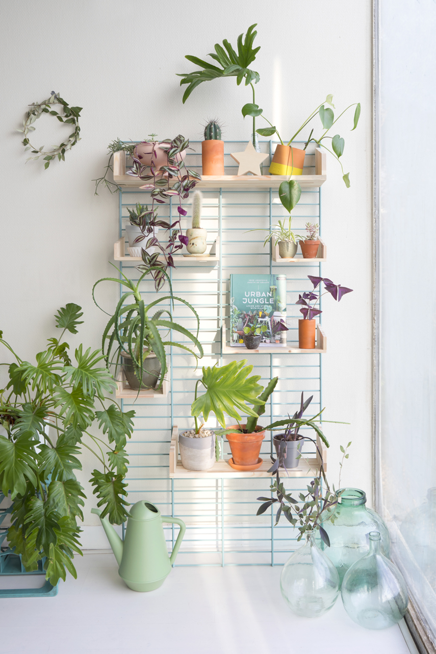 Urban Jungle Bloggers - Fency Tolhuijs plantshelfie