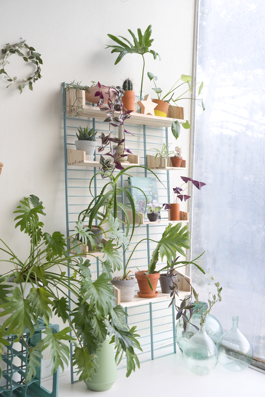 Urban Jungle Bloggers - Fency Tolhuijs plantshelfie