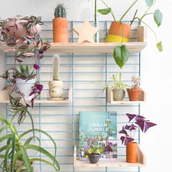 Urban Jungle Bloggers - Fency Tolhuijs plantshelfie