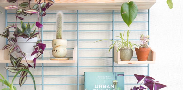 Urban Jungle Bloggers - Fency Tolhuijs plantshelfie