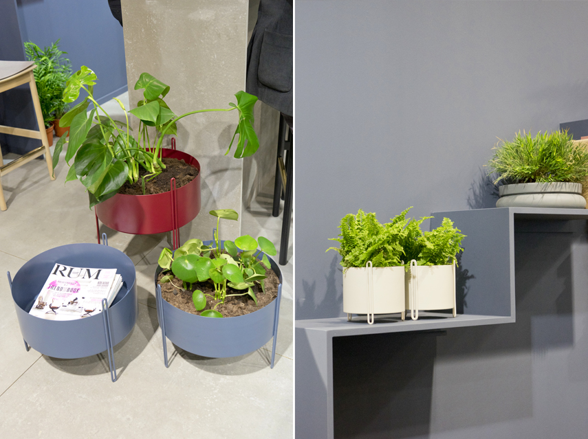 Urban Jungle Bloggers - plant trends from Maison et Objet 2017