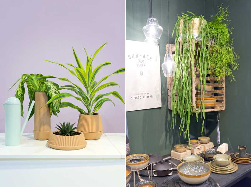 Urban Jungle Bloggers - plant trends from Maison et Objet 2017