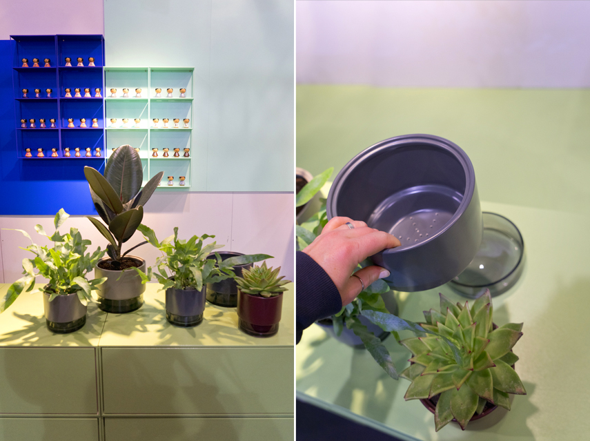 Urban Jungle Bloggers - plant trends from Maison et Objet 2017