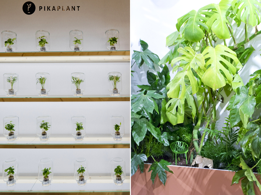 Urban Jungle Bloggers - plant trends from Maison et Objet 2017