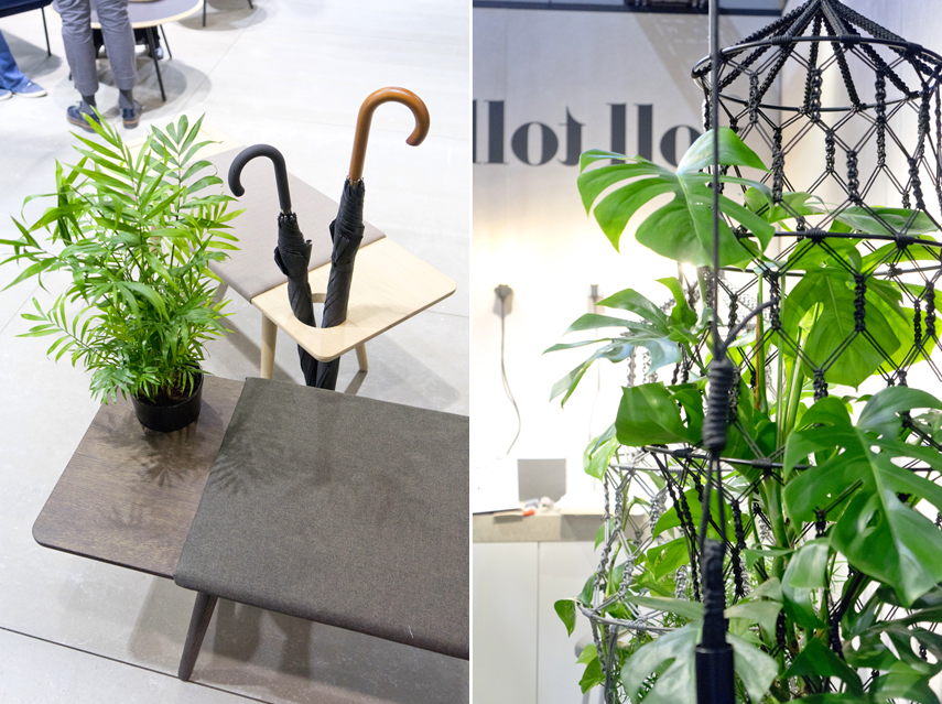 Urban Jungle Bloggers - plant trends from Maison et Objet 2017