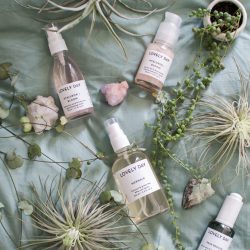 Urban Jungle Bloggers Lovely Day Botanicals