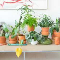 Urban Jungle Bloggers x IKEA UK x At Mine