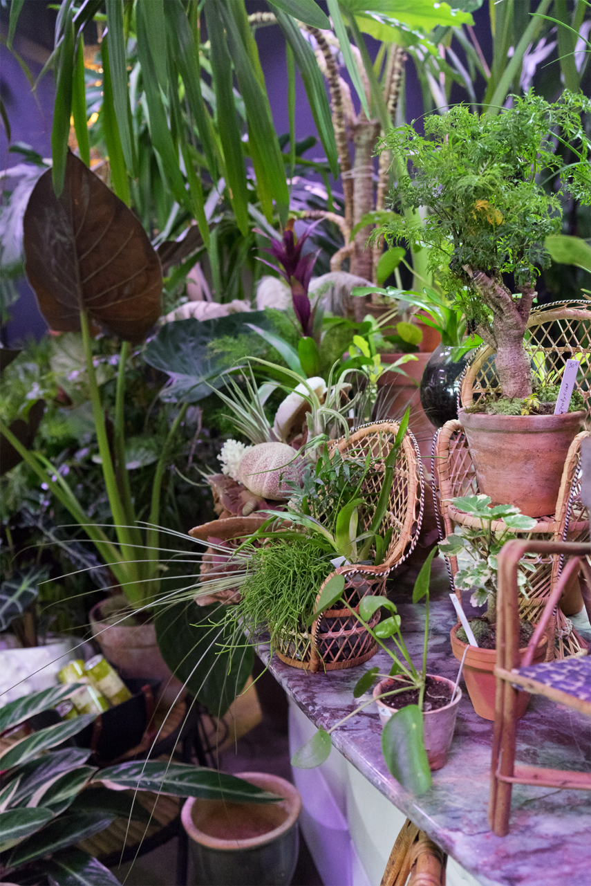 Urban Jungle Bloggers: BRUT plant shop in Brussels