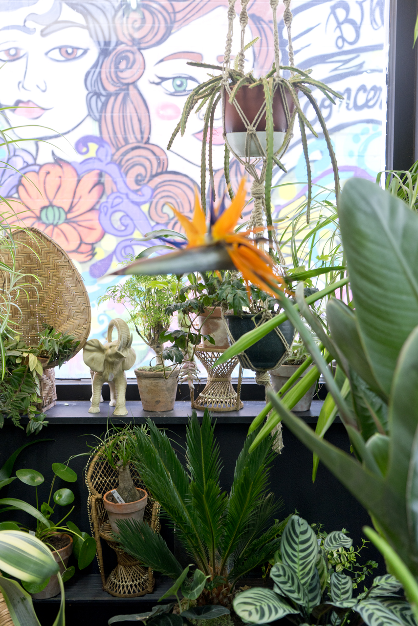 Urban Jungle Bloggers: BRUT plant shop in Brussels