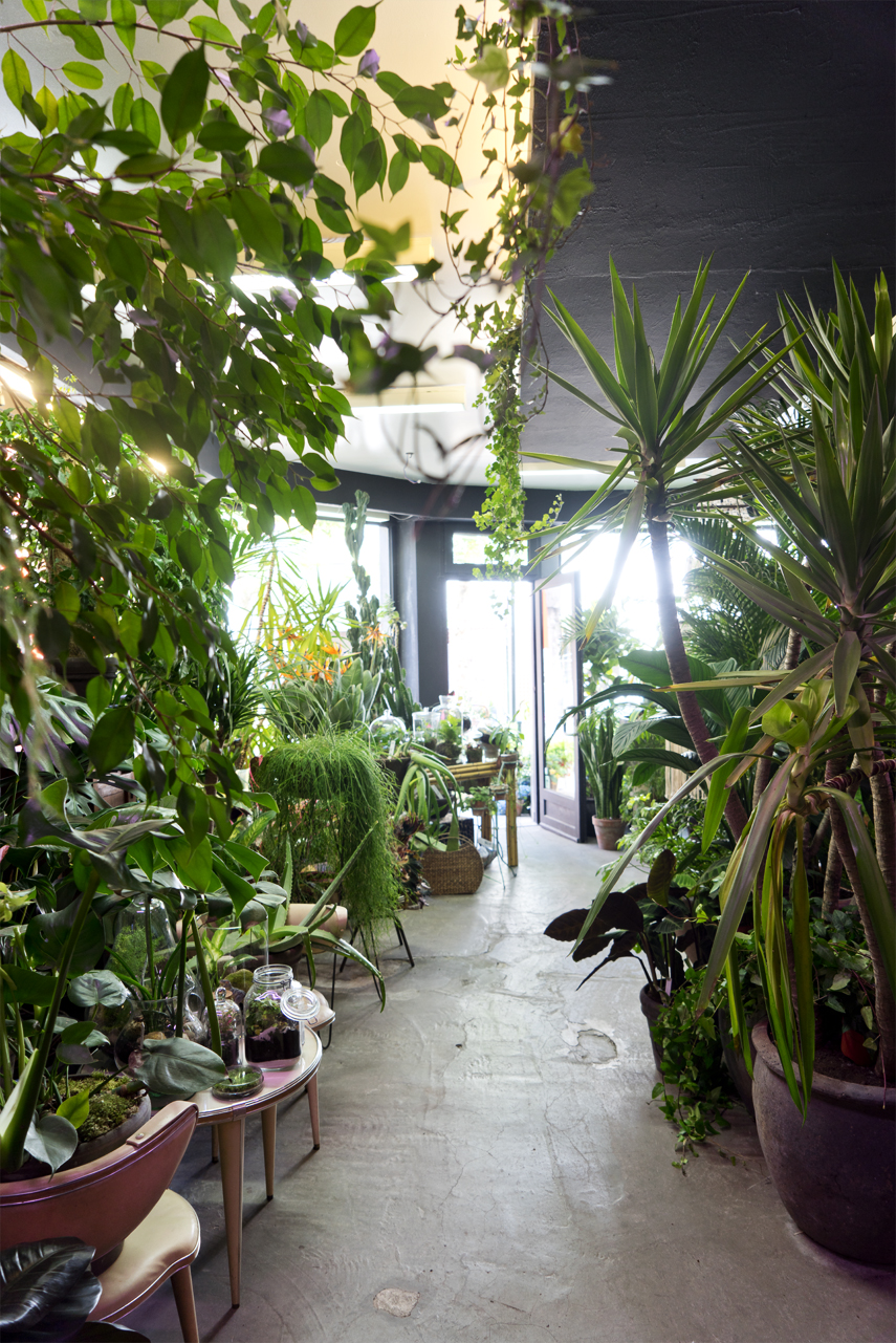 Urban Jungle Bloggers: BRUT plant shop in Brussels