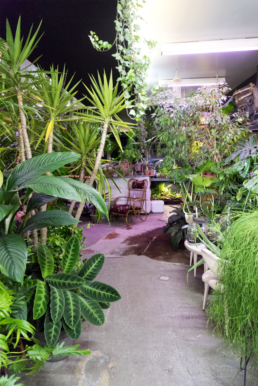 Urban Jungle Bloggers: BRUT plant shop in Brussels