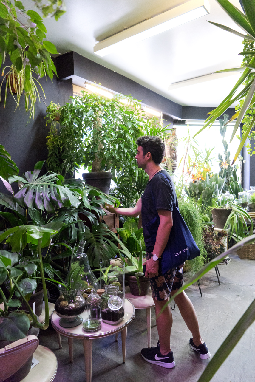 Urban Jungle Bloggers: BRUT plant shop in Brussels