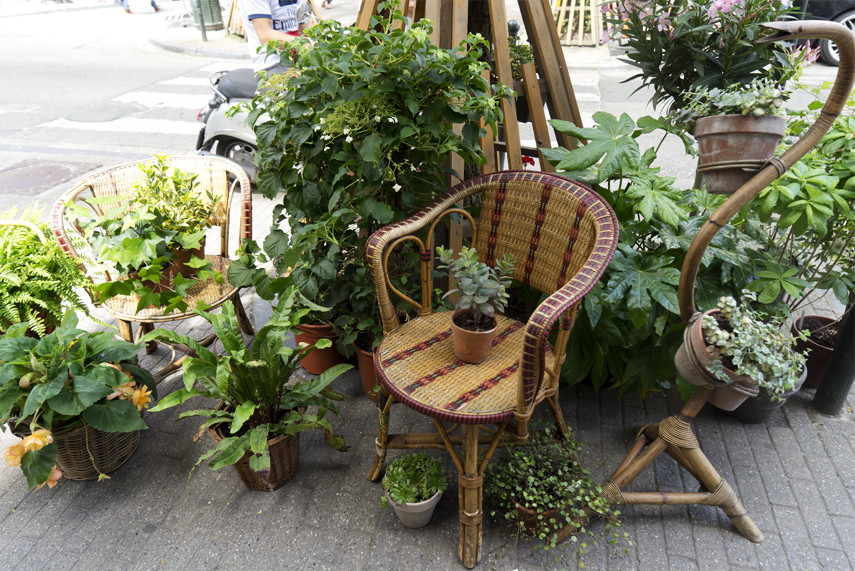 Urban Jungle Bloggers: BRUT plant shop in Brussels