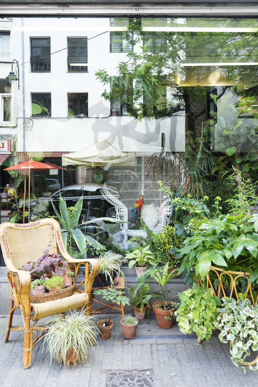 Urban Jungle Bloggers: BRUT plant shop in Brussels