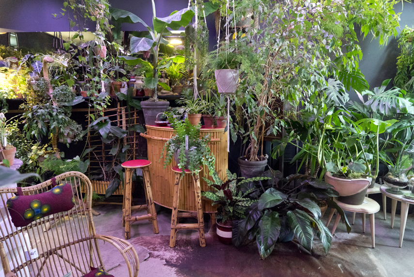 Urban Jungle Bloggers: BRUT plant shop in Brussels